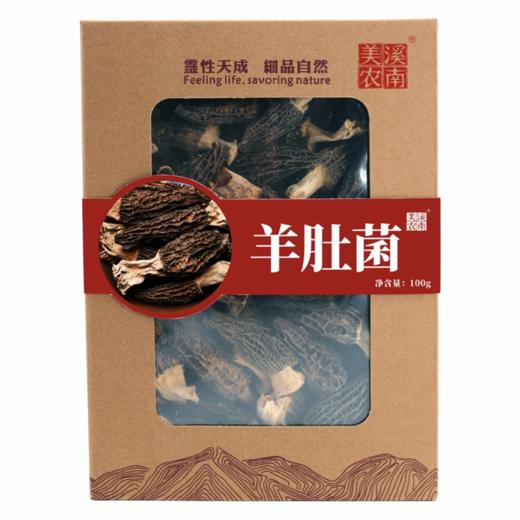 南江县羊肚菌	100g 商品图0