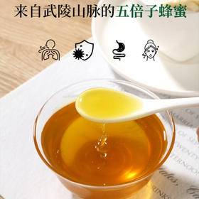包邮到家！中国的“麦卢卡”蜂蜜，来自武陵山脉高山五倍子蜂蜜，古法蜜蜂养殖酿造工艺，不添加蔗糖，无添加，纯原生态五倍子蜜，无蜂螨，零农残，品质上乘！