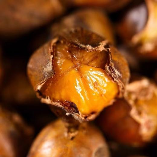 【果蔬精选】晚熟迁西老树板栗 坚持生态种植 树上自然成熟 带有农残检测报告 颗颗饱满 生吃脆甜 熟吃粉糯香甜 商品图1