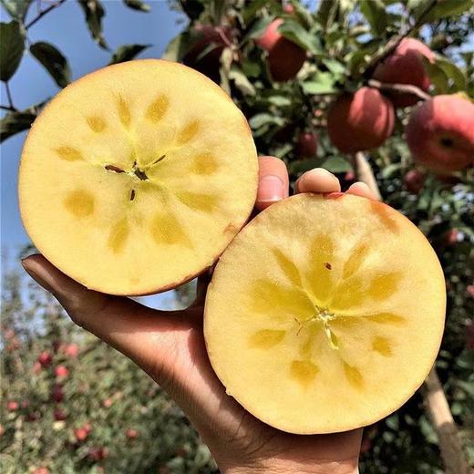 【京东快递】新疆阿克苏冰糖心苹果 糖度18+ 冰糖心率80%+ 果径和克重双重达标机器分选 AWJM 商品图1