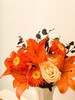 【橙汁汽水】橙色梦想亚百合5朵+香槟玫瑰2朵+橙色非洲菊3朵+红继木3小支 商品缩略图3