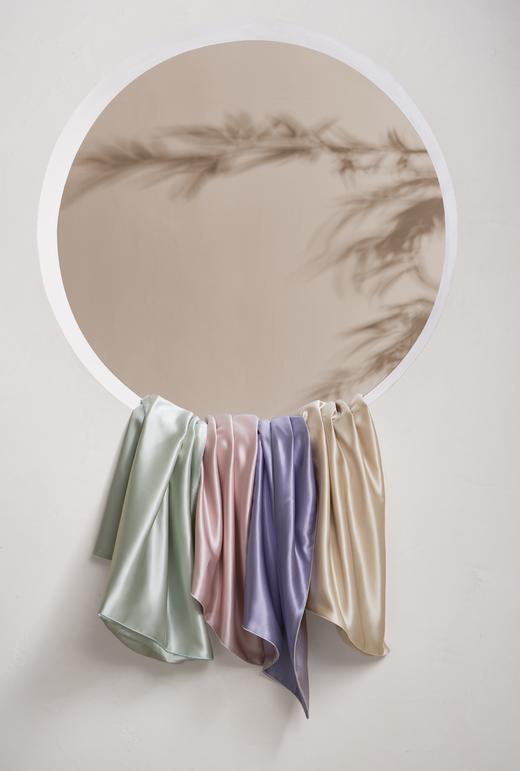 TAIHUSNOW太湖雪真丝纯色枕套 商品图1