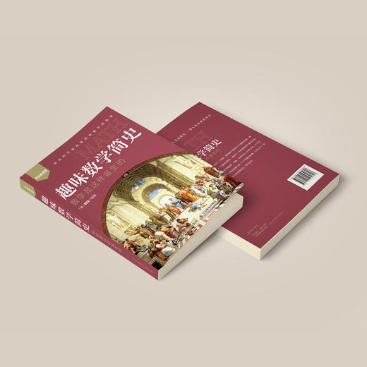 《趣味数学简史：数学是这样诞生的》 商品图11