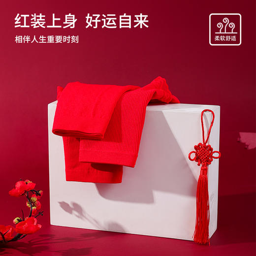 雅黛丽红内裤女本命年高腰收腹提臀短裤全棉底裆透气三角裤头女 商品图2