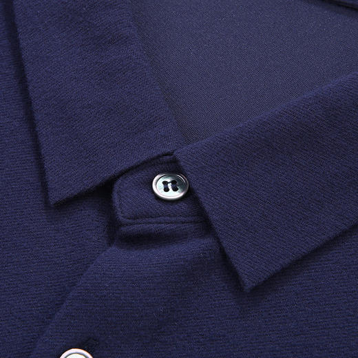 【莫代尔桑蚕丝】【新款DWP】大依优型大码长袖衬衫翻领男装加肥加大体恤大号上衣胖子内搭 商品图8