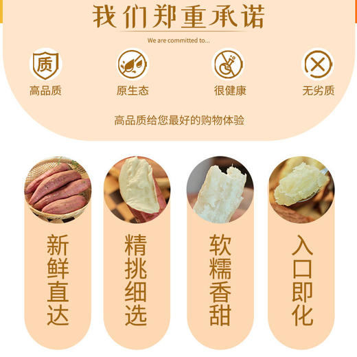 山东哈密冰糖薯软糯香甜入口即化 商品图2