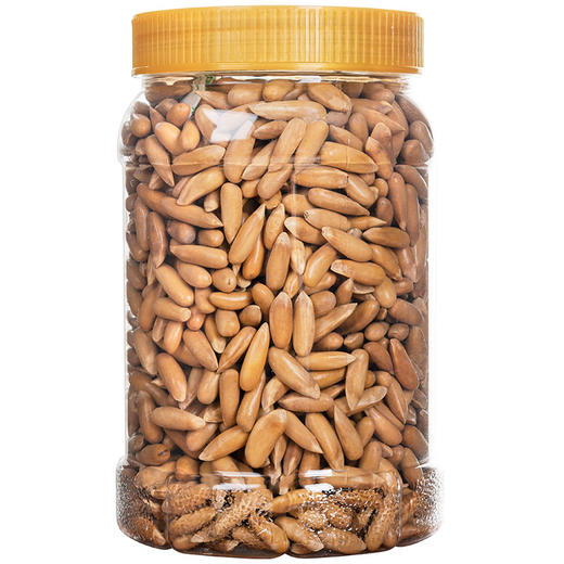 巴西松子罐装500g零食 薄壳易剥原味松子休闲美味 手剥松子坚果 商品图3