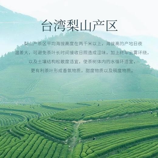 【介意慎拍2025-02-14到期】出口茶-台湾高山茶梨山乌龙冷萃茶冷泡茶袋泡茶原叶茶包45g 商品图3