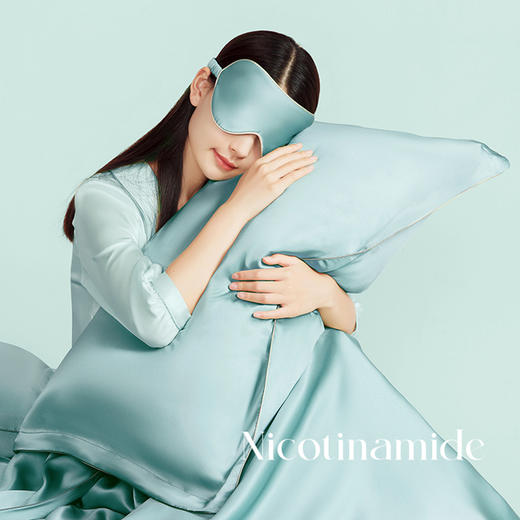 太湖雪 烟酰胺真丝旅行二件套 抱枕靠垫 商品图3