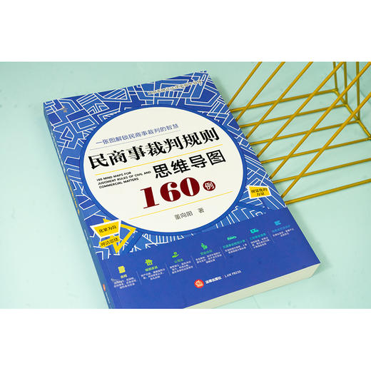 民商事裁判规则思维导图160例（全彩印刷、诉讼可视化） 董向阳著 法律出版社 商品图1