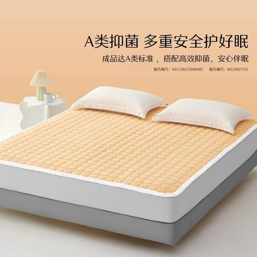 水星家纺学生宿舍抗菌床垫软垫单人家用褥子垫子床上用品 商品图0