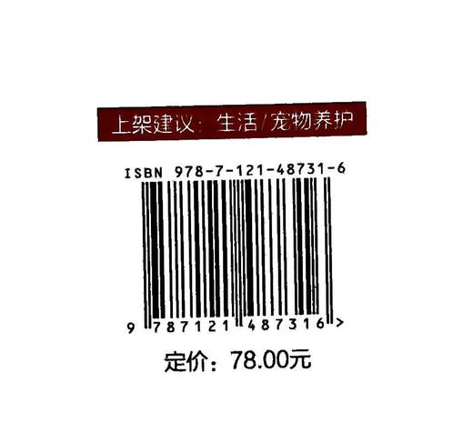 官方正版 养一只快乐猫 劳拉·博罗梅奥 猫行为入门书 猫咪的行为问题解答 猫咪的养育和行为学知识 猫咪养护喂养疾病防治书籍 商品图2