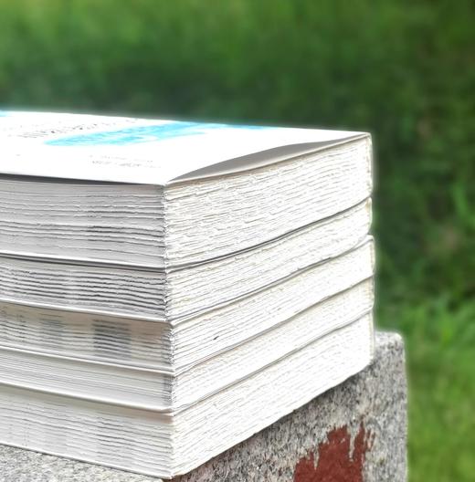 毛边版！！游历中国丛书五种：《我看乾隆盛世：马戛尔尼使团访华见闻与思考》《五口通商城市游记》《神秘的花园：英人游历中国记》《东方与西方：1900年的交锋》《帝国丽影》，32开，平装 商品图2