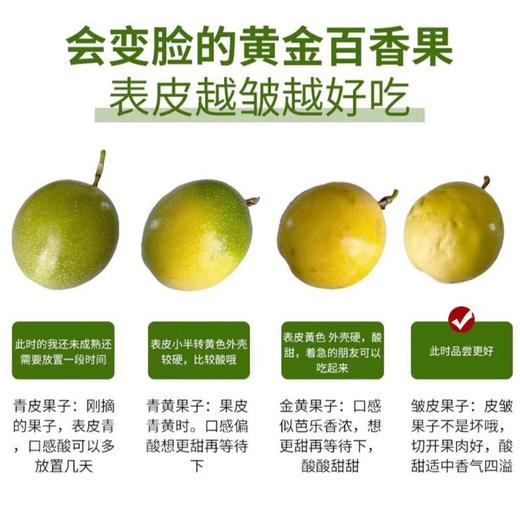 黄金百香果（约500G） 商品图2