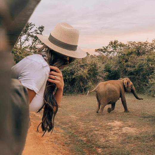 斯里兰卡 | 梦境锡兰·9天8晚 商品图1