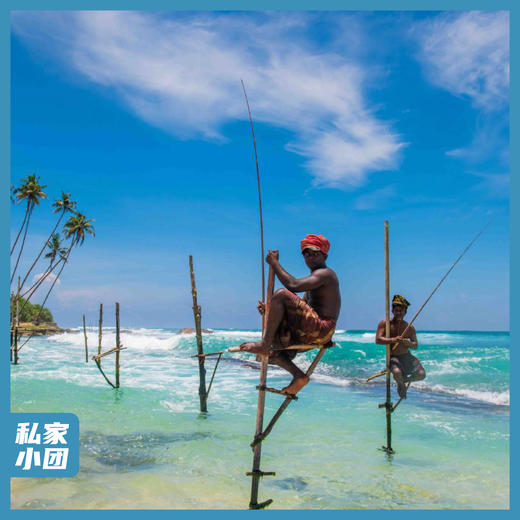 斯里兰卡 | 梦境锡兰·9天8晚 商品图0