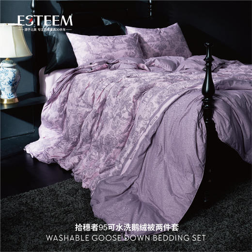 拾穗者95可水洗鹅绒被两件套 商品图1