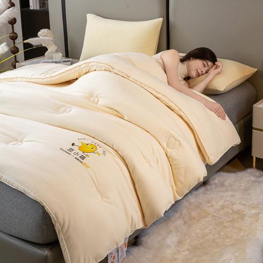 TZW-2024新款超柔云感A类立体大豆纤维被子母被冬被春秋被芯 商品图8