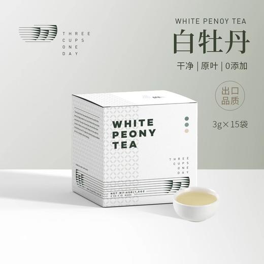 出口茶-福鼎白茶白牡丹袋泡茶冷泡萃茶原叶茶包45g（3g*15） 商品图0