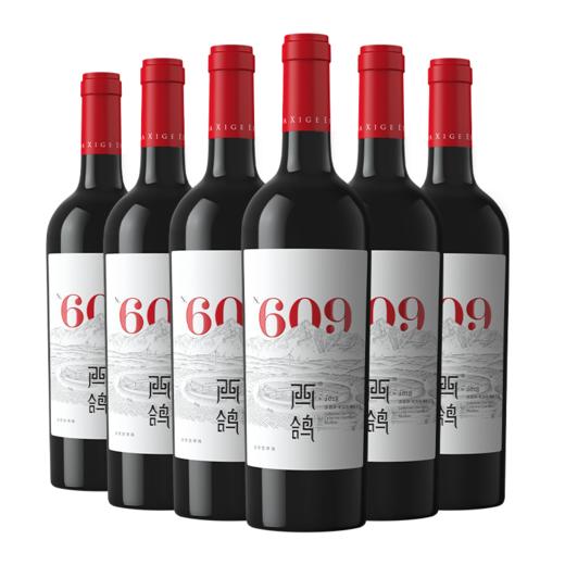 西鸽N609干红葡萄酒 整箱750ml*6 商品图0
