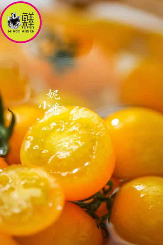 🛵喵菓基地～黄千禧【琥珀版】1kg 商品图3