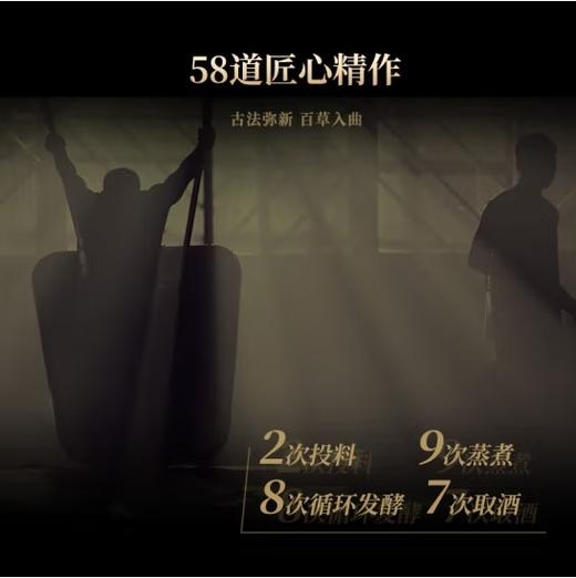 53°丹泉洞藏（15）第三代 500ml/瓶-停用 商品图8