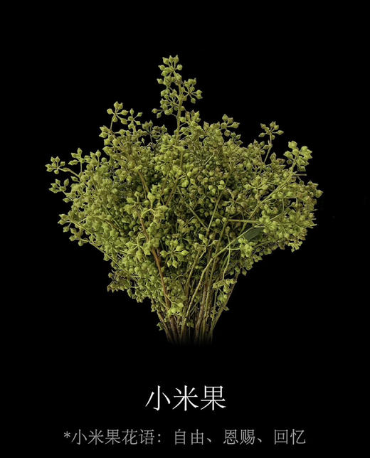 【山货花材】 小米果  若干枝/扎 商品图3