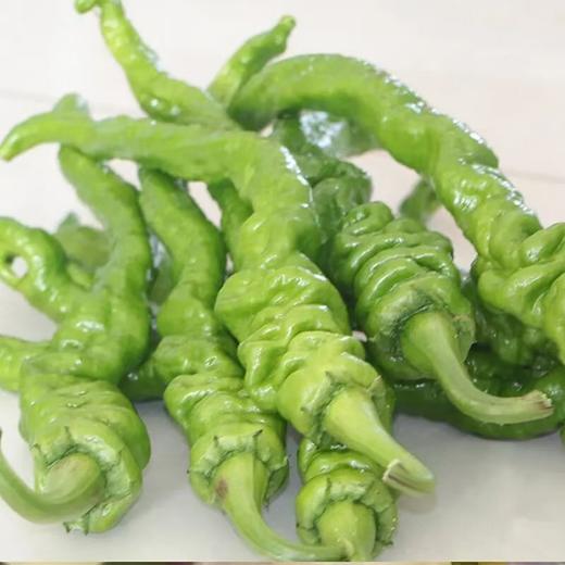 【亚欧超市】陇椒500g±50g/份 商品图1