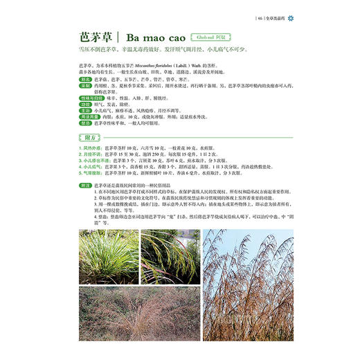 正版全新 苗家实用草药 滕建甲 黄爱辉 主编 全草类苗药 根茎类苗药 茎秆类苗药 果实类苗药 花类苗药9787515226590中医古籍出版社 商品图4