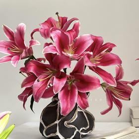 【钱袋子.陶瓷花瓶】1个/份 高约22cm上口径14cm肚径25cm（江西仓顺丰发货）