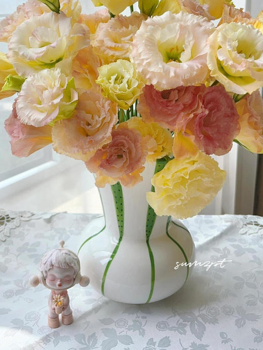 【香槟色洋桔梗】7-10朵/份 商品图12