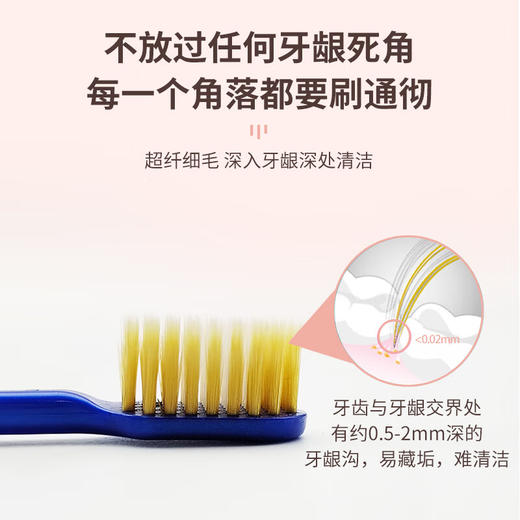 【2支装】EBISU惠百施 7列48孔宽头牙刷成人孕妇护龈家用家庭装（81软毛/82中毛） 商品图2