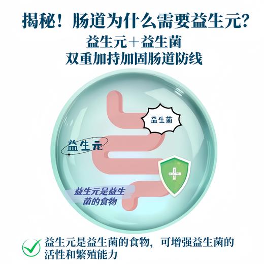 【桑葚发酵饮】187ml原汁发酵不添加蔗糖酸甜浓稠噗噗通畅 商品图5