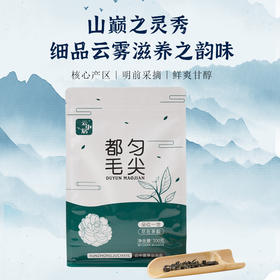 云中居晨系列都匀毛尖袋装200g