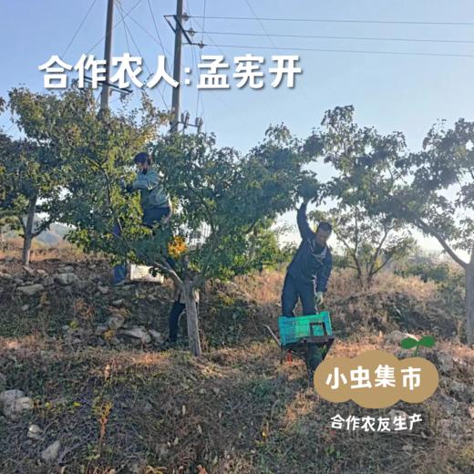 生态山楂 110g/100g | 合作农友生产，产自山楂之乡河北宽城，生产者：孟宪开  &【公平贸易农人定价】 商品图7