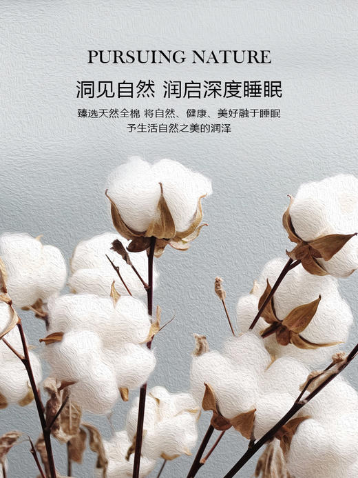 金蝶信使大白鹅子母被 商品图2