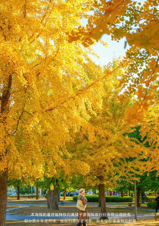 【京津一价全含】 双飞五天全景游 商品图1