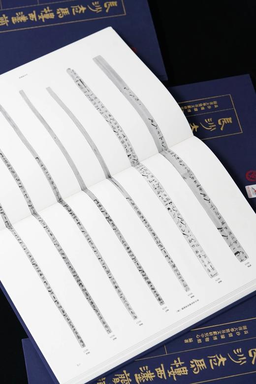 《长沙走马楼西汉简牍》，8开，函套装，全4册。

作者：长沙简牍博物馆、湖南大学简帛文献研究中心 编著
主编：陈松长、李鄂权
出版社：岳麓书社
出版时间：2024年3月 商品图3