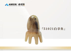 51021 白章鱼
