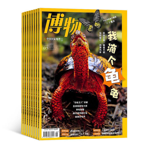 博物（1年共12期）（杂志订阅） 商品图2
