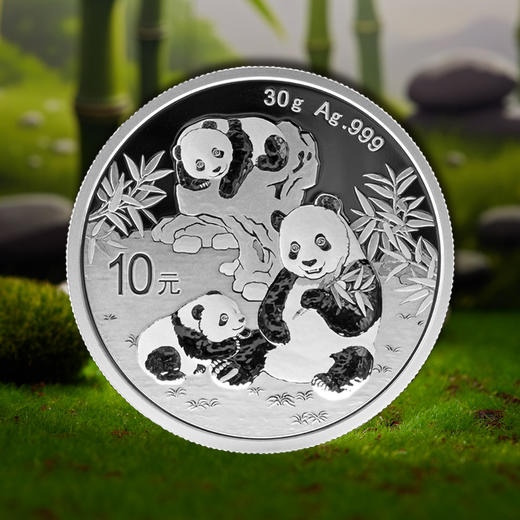 2010-2026年熊猫银币 熊猫币大全套 商品图1