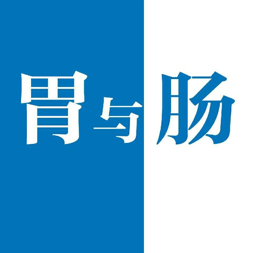 预售 胃与肠 2025年特价征订 全年共12本