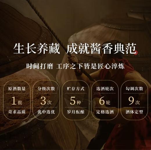 53°第四代红花郎（15）500ml 商品图2