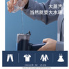 志高（CHIGO）挂烫机家用手持电熨斗熨烫机大蒸汽电熨斗便携式小型熨烫机HIE03 商品缩略图3