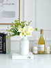 手感保湿马蹄莲仿真花假花海芋花餐桌摆件室内客厅家居装饰花摆设 商品缩略图3