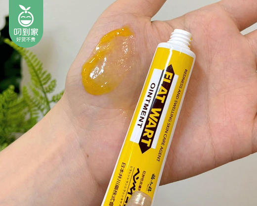 【到手3支】福小禧扁平疣软膏/1份（20g*3支） 商品图2
