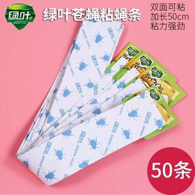 【ZK】苍蝇粘板50个