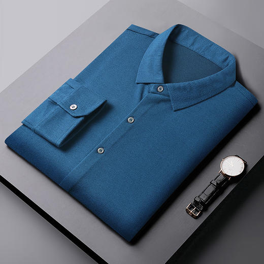 【莫代尔桑蚕丝】【新款DWP】大依优型大码长袖衬衫翻领男装加肥加大体恤大号上衣胖子内搭 商品图2