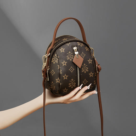 Safiya/索菲娅2024新款爆款时尚小圆包百搭老花单肩斜挎包 SF42215264 商品图1