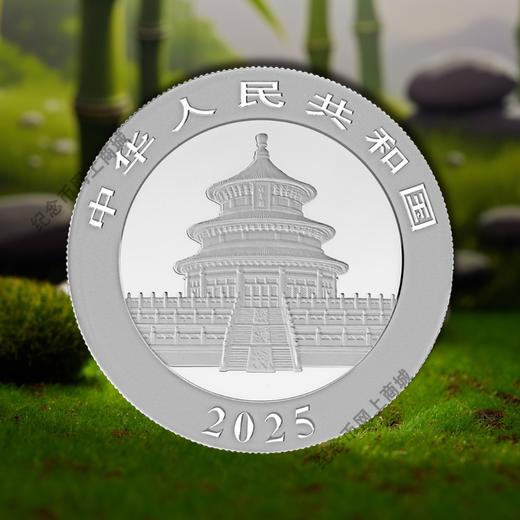 2025年熊猫30克银币 商品图1